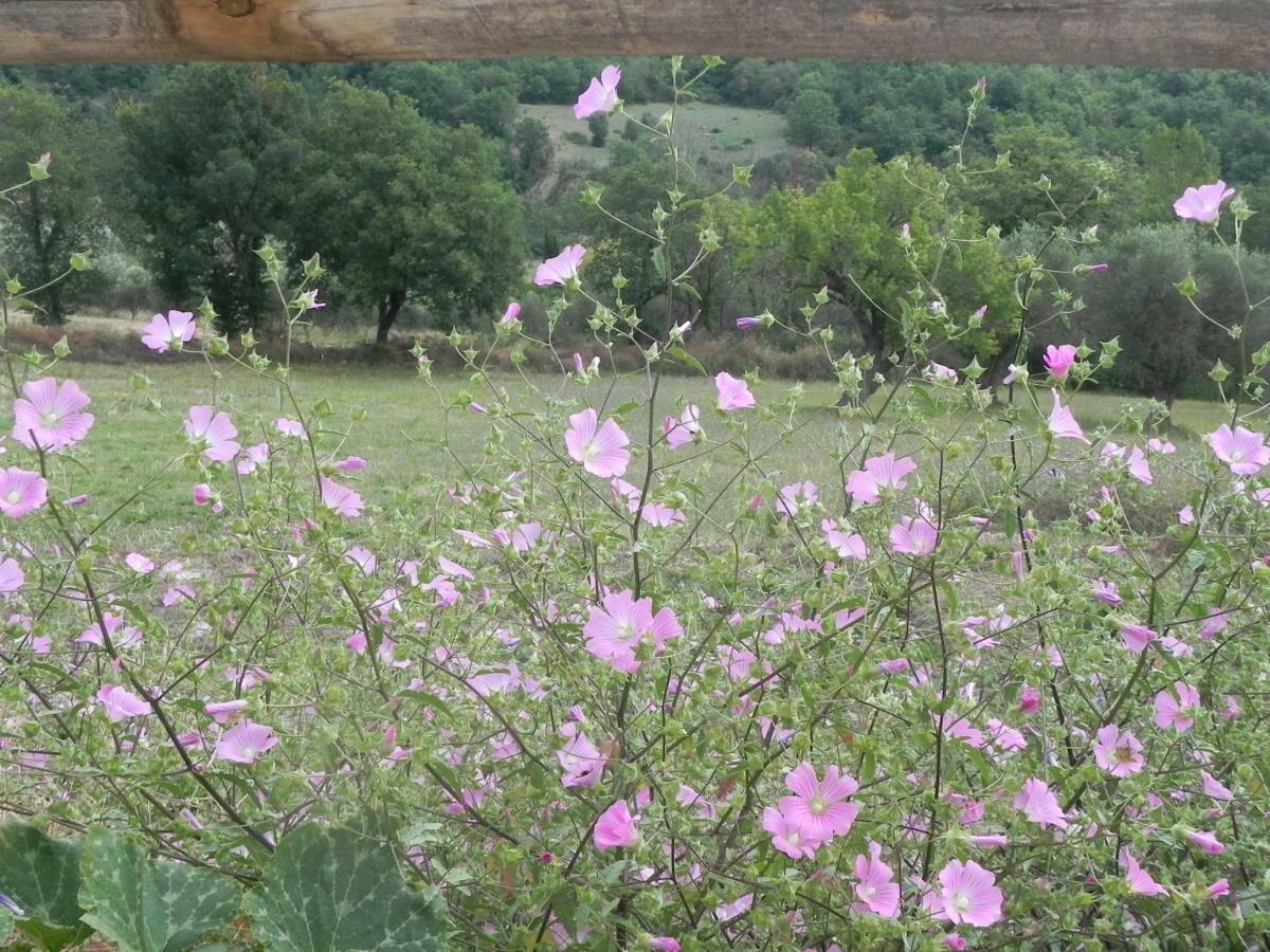 Agriturismo B&B Il Rifugio Di Nino Contursi Exteriér fotografie