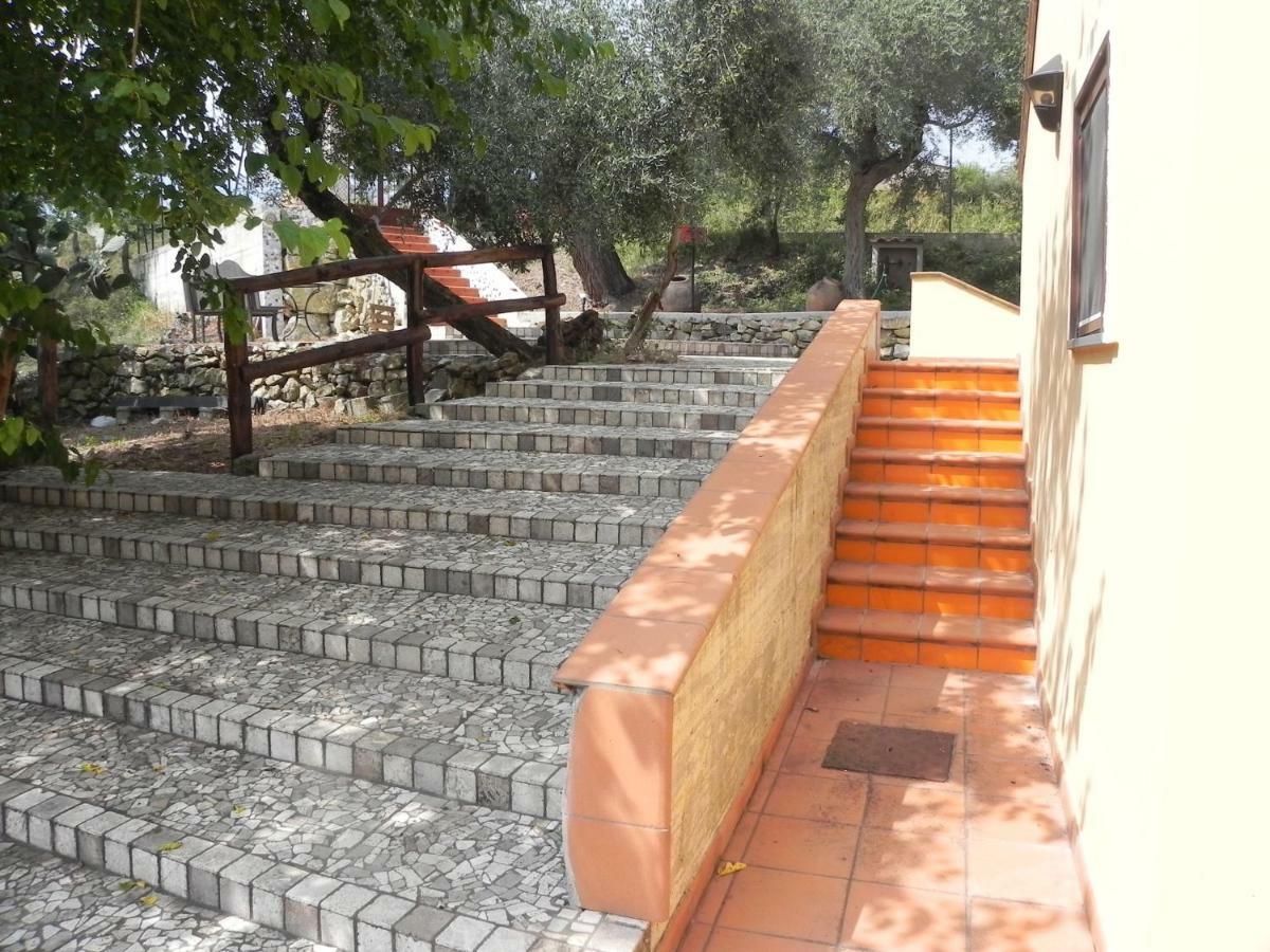 Agriturismo B&B Il Rifugio Di Nino Contursi Exteriér fotografie